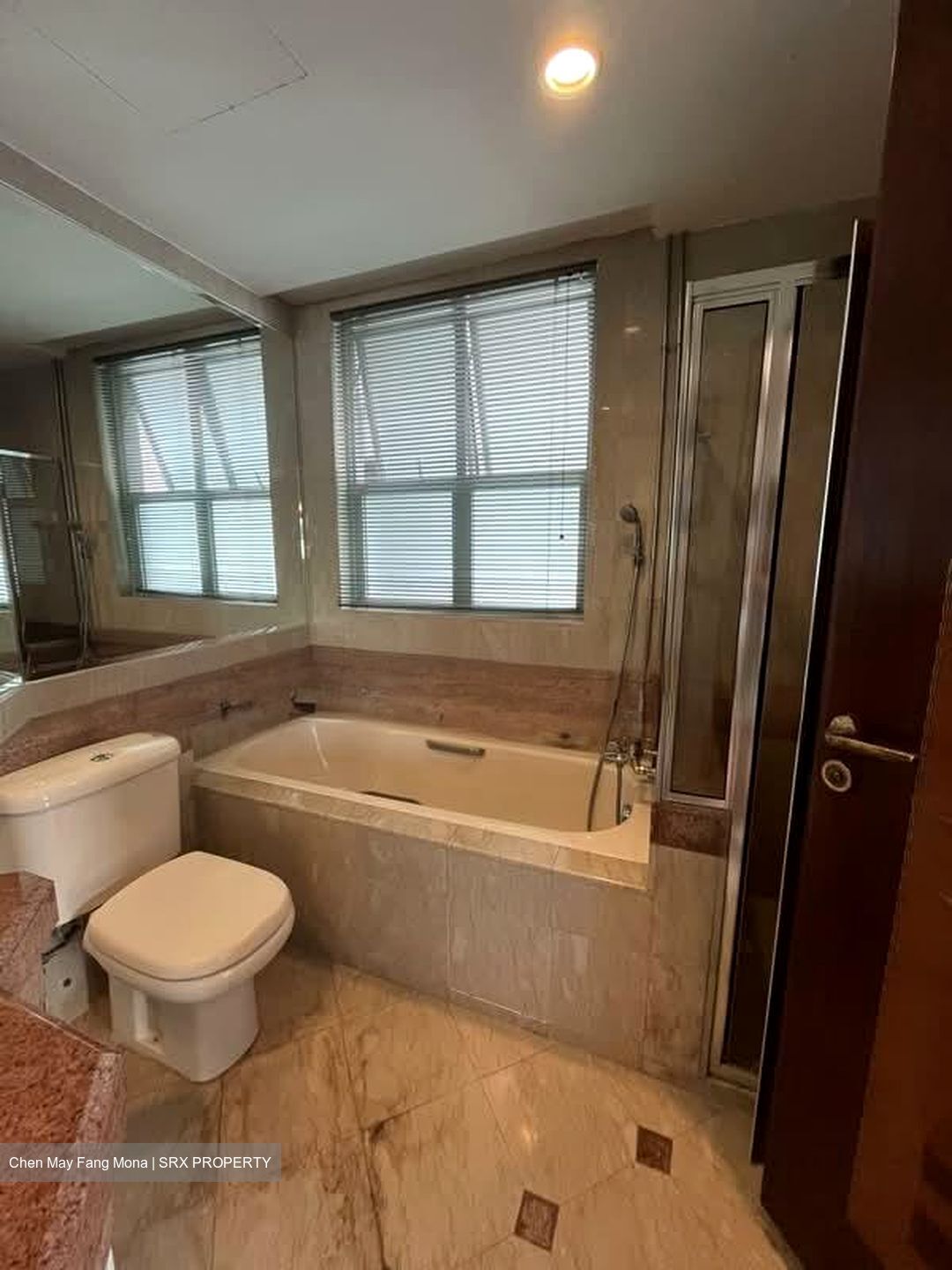 Sunshine Plaza (D7), Apartment #598781141